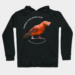 Andean cock-of-the-rock tropical bird pin white text Hoodie